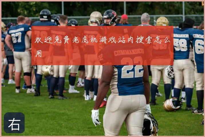 欢迎免费老虎机游戏站内搜索怎么用